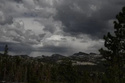 DSC_4369 (Large).JPG